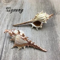natural conch charm pendantshell pendant for necklace diy jewelry making my2092