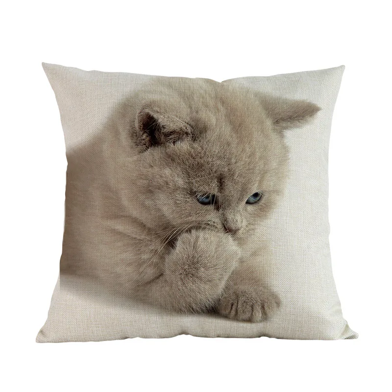 Милый маленький кот Британский Короткий волос котенок льняная короткая плюшевая