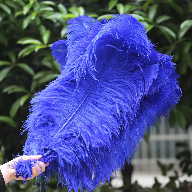 royalblue 100 шт. натуральные перья страуса В переменного тока, 50-55 см 20-22 дюймов Diy для рождественской вечеринки украшения для свадебного платья белые страусиные перья - Цвет: royalblue