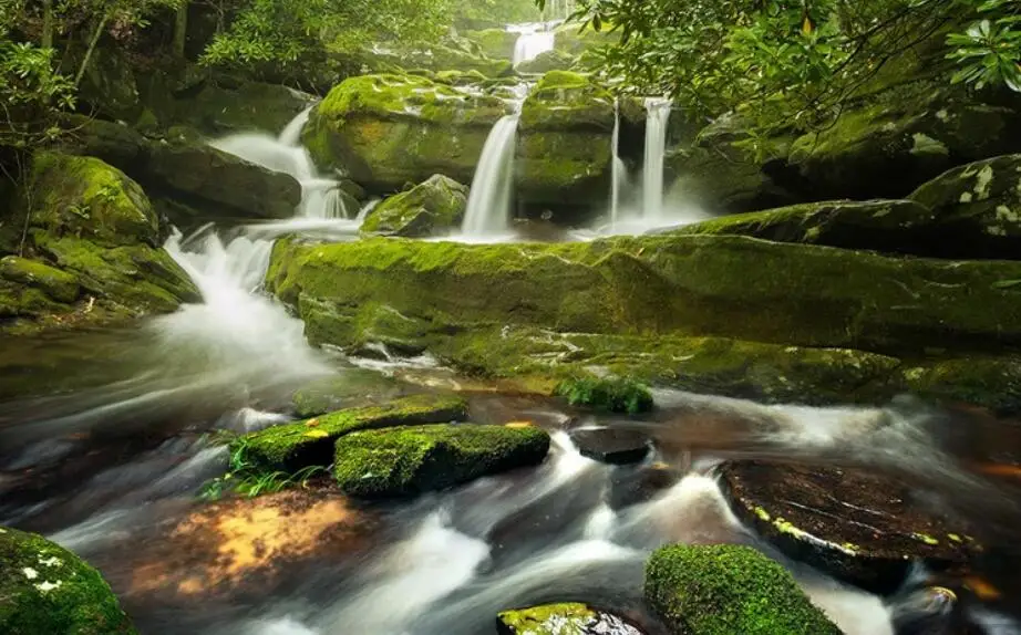Фотообои с водопадом Nature Forest настенные бумажные обои s для стен 3 D спальни