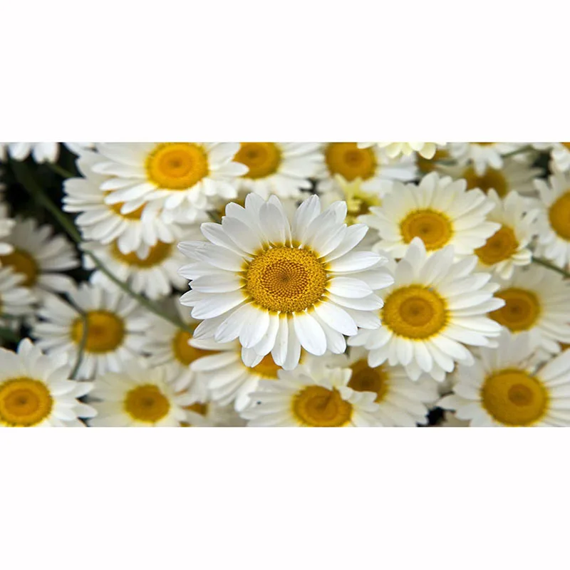 

All 5D Diy Diamond Cross Embroidered Daisy Flower Diamond Painting Square Diamond Painting Handmade Hobby Home Decoration.