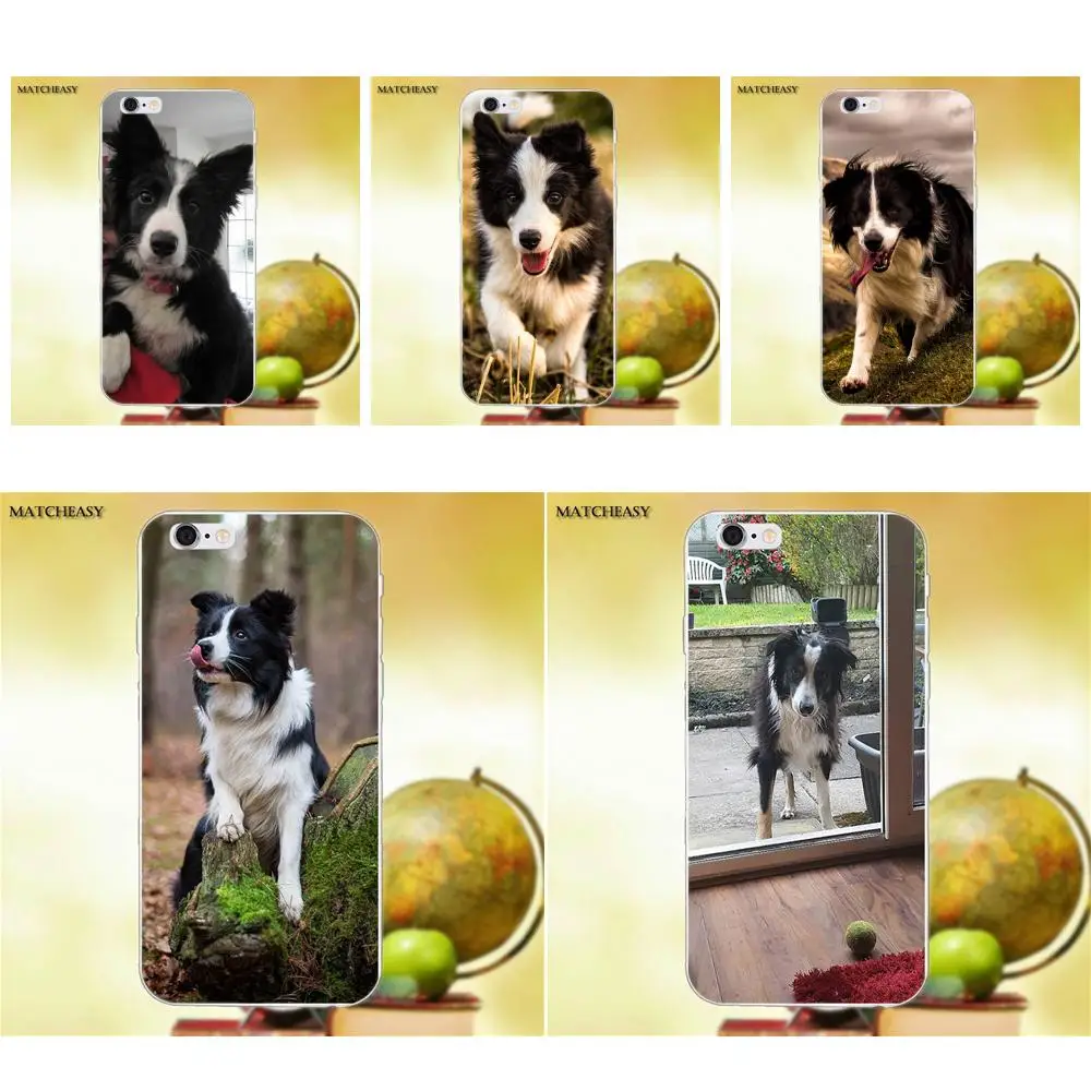 Красивый Border Collie Puppy Dog для Apple iPhone X XS Max XR 4 4S 5 5C SE 6 6S 7 8 Plus мягкий модный мобильный