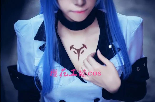 Akame ga KILL! Анимэ membunuh! Костюм для косплея Esdeath из платья + шапки шарфа 11 |