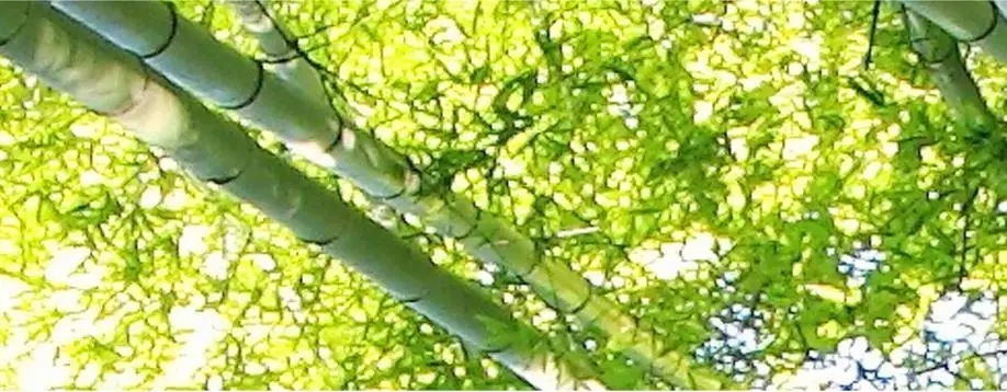 3D потолочная плитка под заказ свежий бамбук 3d стереоскопический потолок