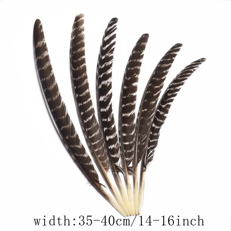 35-40cm to 14-16inch Одежда высшего качества Редкие природные Eagle перья для ремесел DIY белый большой перья для свадьбы ювелирные украшения партии Сова Plumas - Цвет: 35-40cm to 14-16inch