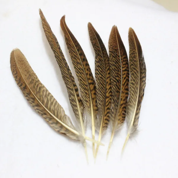 

Wholesale! Perfect 100pcs/lot Natural 6-8 inches/15-20 cm Golden Pheasant Tail Feathers for home /carnival/wedding decoration