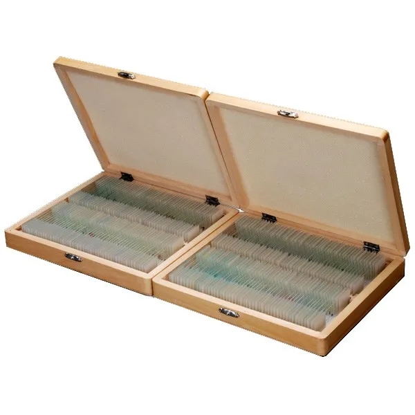 AmScope 200 анатомии патологии Botany слайды подготовленные для микроскопа PS200A |