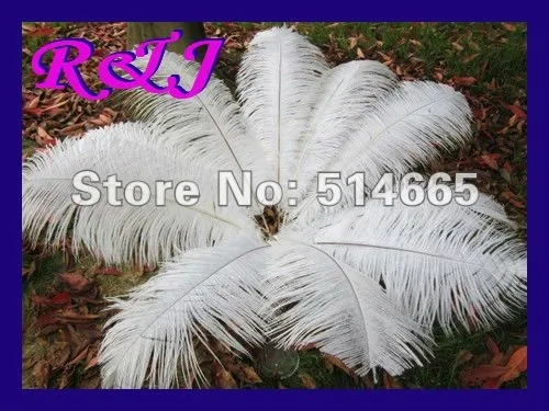 Страусиное перо 20 шт./лот 10 цветов 18 дюймов 45 50 см|ostrich feather|ostrich plumesfeather assortment |