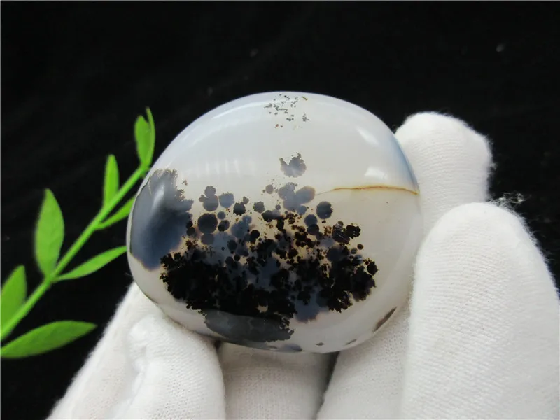 

AAA Beautiful Natural Polished Aquatic Plants Agate Crystal Minerals Collection From Madagascar