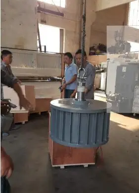 Трехфазный генератор постоянного магнита 3 кВт низкий об/мин PMG AC|Генераторы