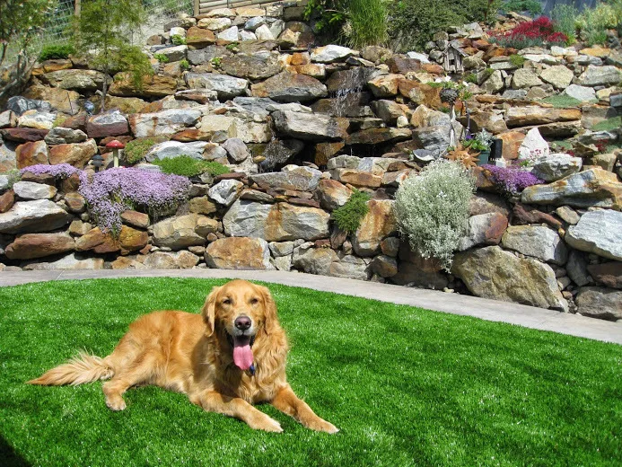 Pet synthetic artificial turf | Спорт и развлечения