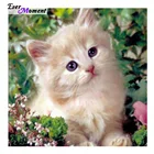 Алмазная вышивка с изображением кошки, Набор для вышивки крестиком, декоративные настенные наклейки для дома, gife Mosaic ASF481