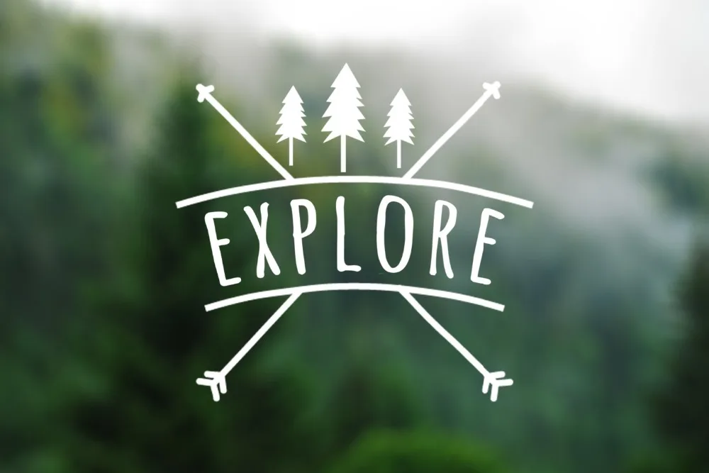 Исследуйте в лесном дереве силуэт компьютера ноутбук обои или автомобили