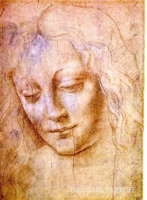 

Portrait art abstract Head of a Young Woman by Leonardo Da Vinci High quality Handmade