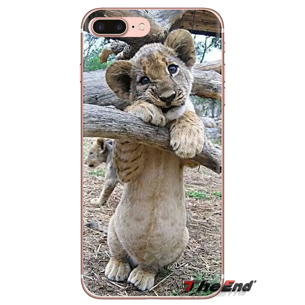 Transparent Soft Covers Baby Cheetah Full Speed Sunset For Samsung Galaxy J1 J2 J3 J4 J5 J6 J7 J8 Plus 2018 Prime 2015 2016 2017 |