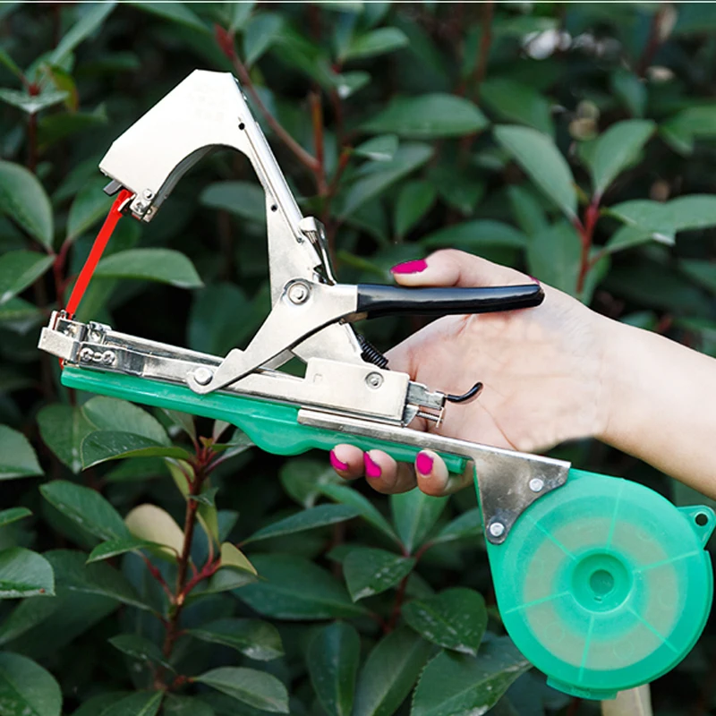 1 шт. садовые помидоры связанные с палочками машинная лента ветки винограда