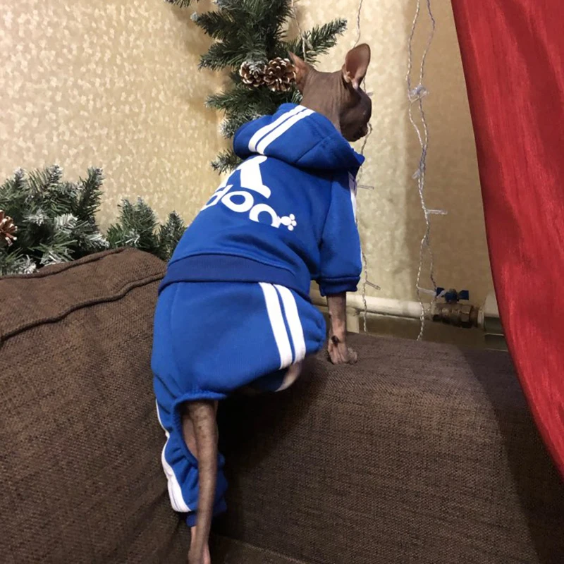 Свитер с капюшоном изображением милого кота зимняя теплая одежда для домашних