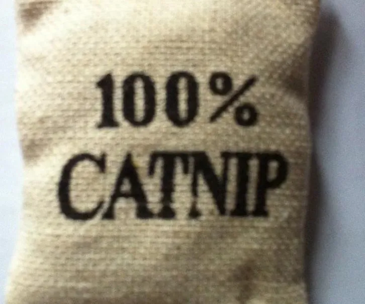 

Free shipping pet play toy catnip cat toy three styles 10g per bag 20pcs/lot