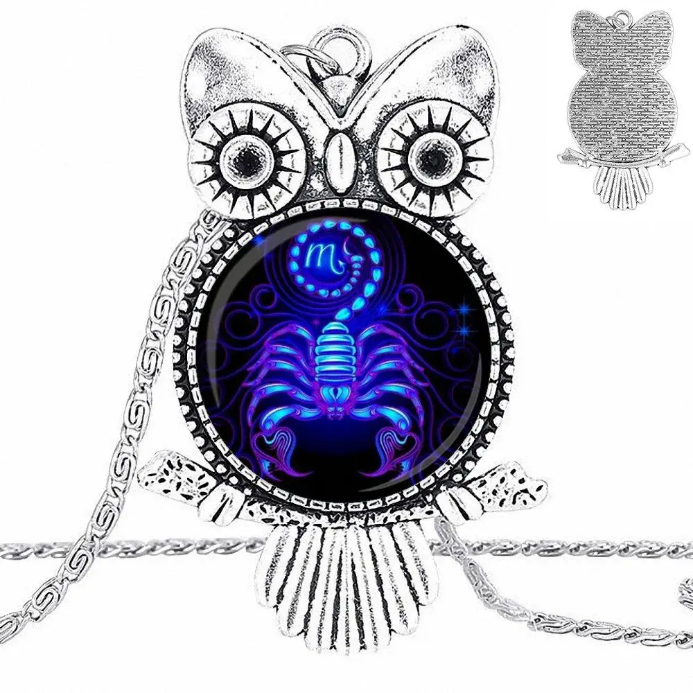EJ Glaze For Girls Statement Maxi 12 Constellation Leo Virgo Glass Cabochon Pendant Necklace Owl Fashion | Украшения и аксессуары