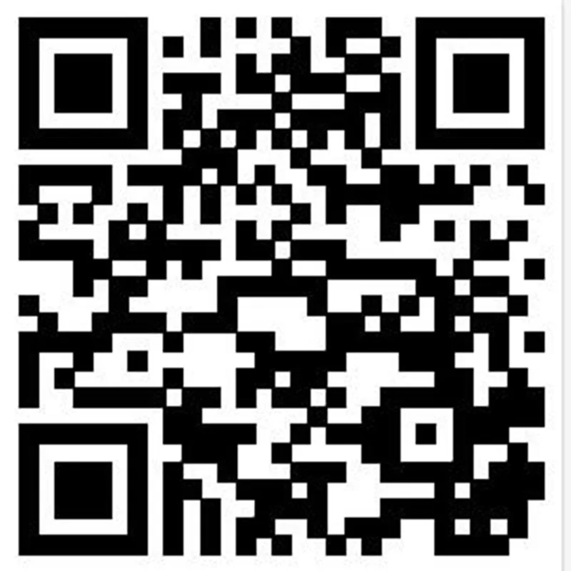 Новый 2017 100% шерсть Брендовое модное Товары для кошек Мыши Шапки Для женщин