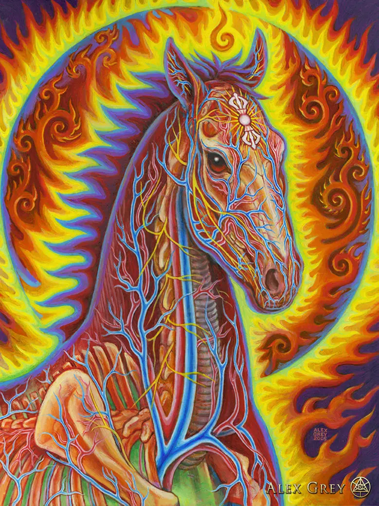Горячая Распродажа Custom Alex Grey Oversoul плакат новые красивые принты высокое качество