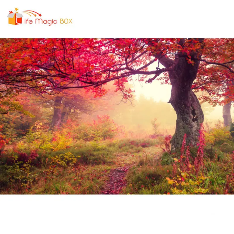 LIFE MAGIC BOX Красные Деревья фон Фотофон пейзаж фотографии фоны Свадьба семья