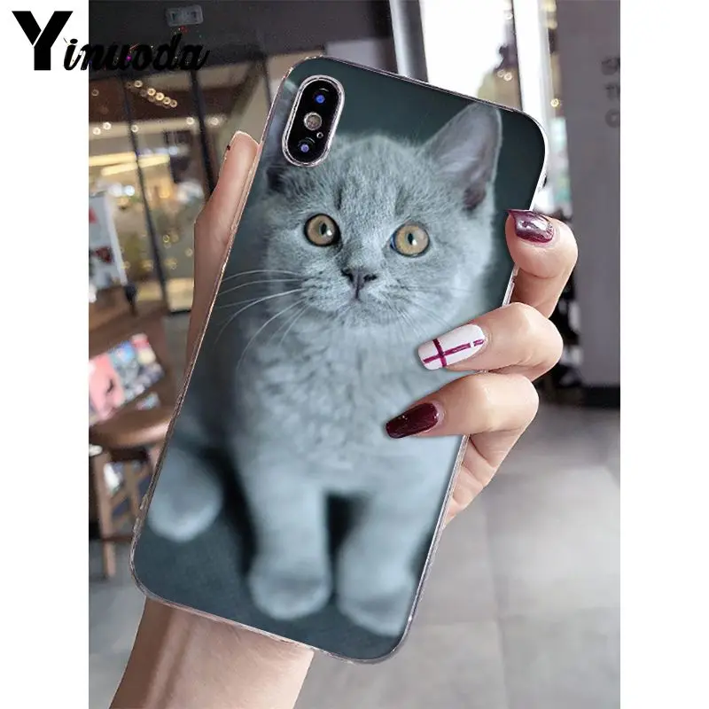 A14 Yinuoda Британский короткошерстный Кот поделка-чехол для телефона для iPhone 5 5Sx 6 7plus 8 8Plus X XS MAX XR Fundas Capa - Цвет: A14