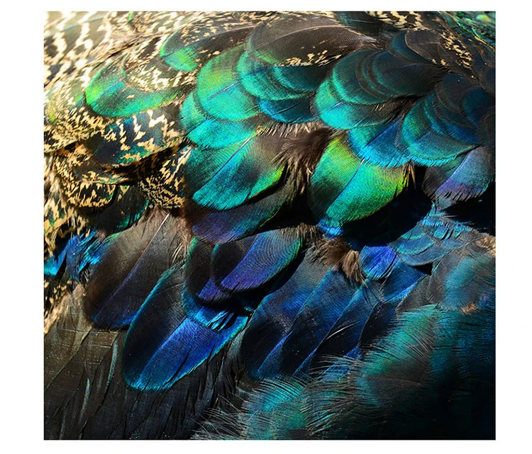 3D обои с павлиньими перьями для гостиной дивана фона 3d настенные фотообои