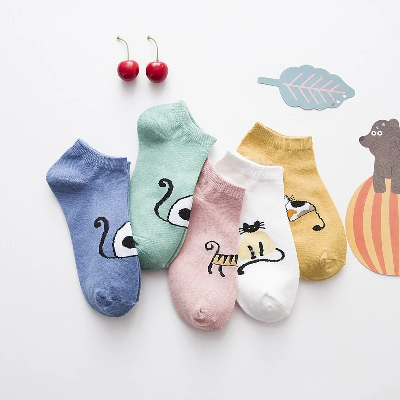 Носки женские с рисунком кошки 5 цветов|Носки| |