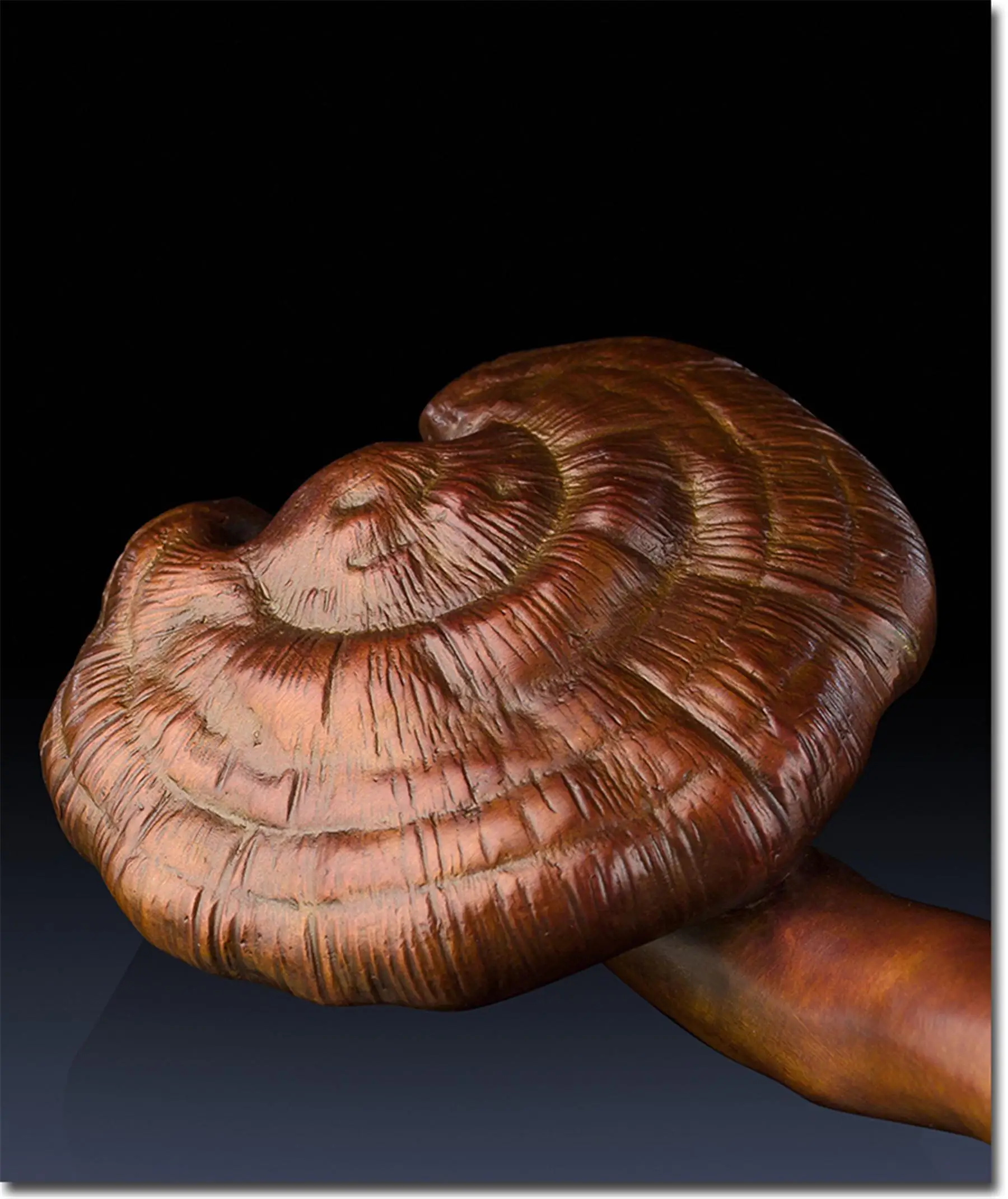 Классическая Ganoderma Lucidum оригинальность ручка декоративно-прикладного искусства