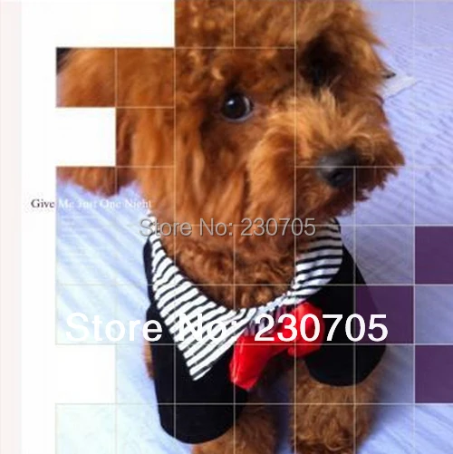 Официальный домашнее животное собака щенок одежда западный стиль костюм галстук