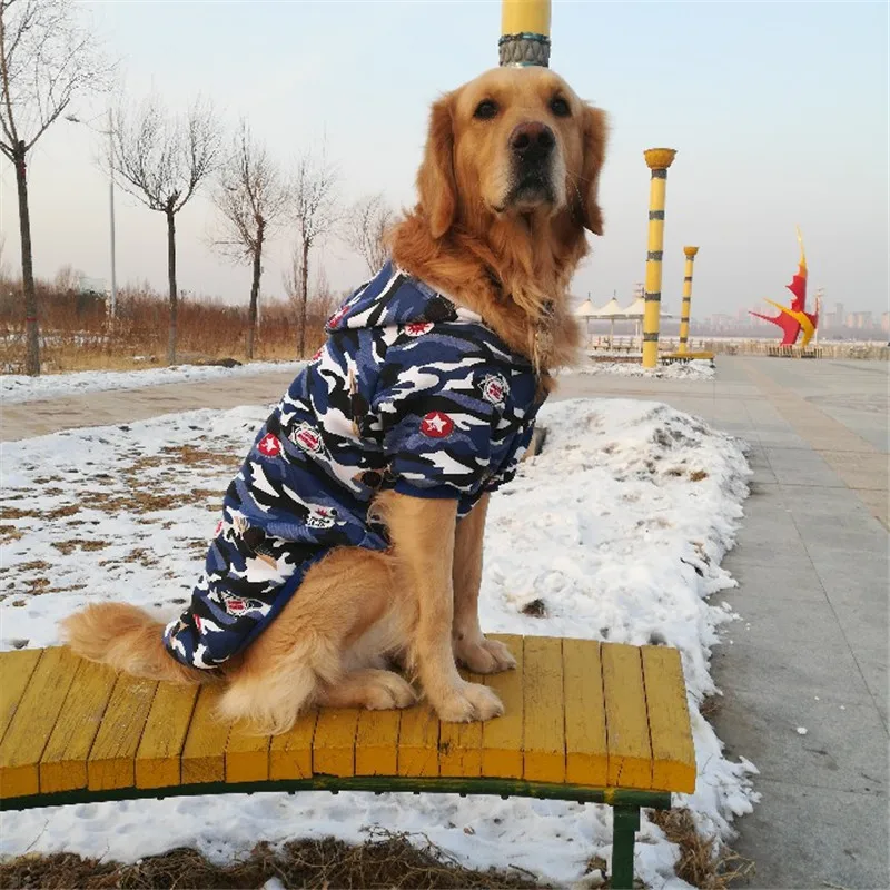 Bigeyedog пальто для собак крупных пород толстовка с капюшоном Одежда больших Зима