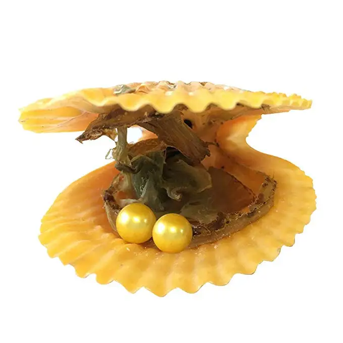 HENGSHENG 20 штук красные Oysters with Twins почти круглые жемчужины внутри Akoya жемчужные для