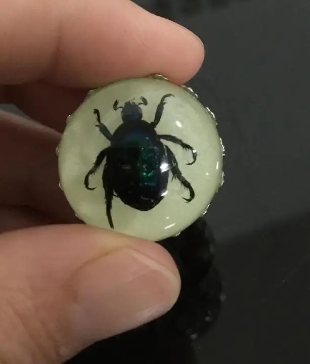 10 шт. 25 мм настоящий Жук Scarab зеленый образец на палец светящееся кольцо декор |
