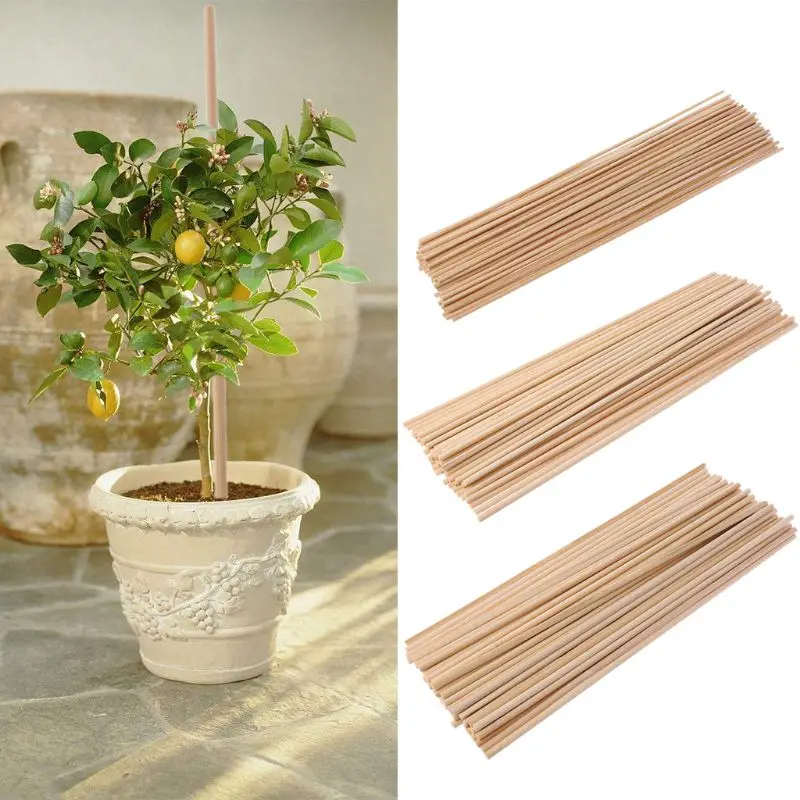 

50 Wooden Plant Grow Support Bamboo Plant Sticks Garden Canes Plants Flower Support Stick Cane