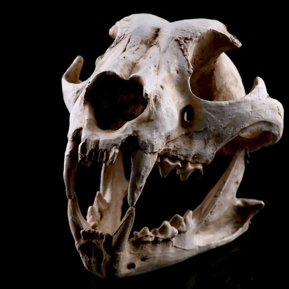 Изделия из смолы череп динозавра Fossil обучение скелет модель Хэллоуин домашний офис Хэллоуин украшения