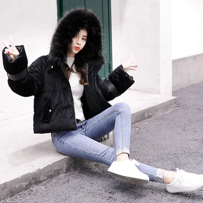 Gold Velvet Coat 5 Colors Female Short 2018 Winter New Fashion With Collar Hat Soft Beige Pink Korean Style Hot Sale | Женская одежда