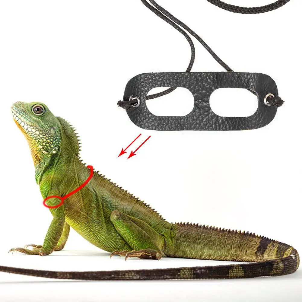 Поводок Lizards Iguana для рептилий поводок переноски домашних животных на открытом