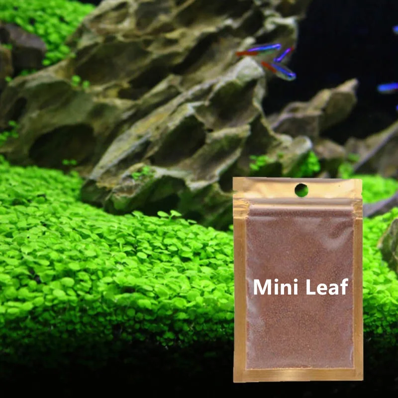 Mini Leaf 1 упаковка аквариумных растительных семян Glossostigma Hemianthus Callitrichoides легкая растущая вода растения Трава Пейзаж аквариума орнамент - Цвет: Mini Leaf