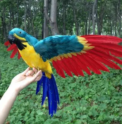 Asas de Espalhamento do Papagaio Grande Colorido Penas Pássaro Artificial Modelo Prop Artesanato Casa Jardim Decoração Presente P2122 45×60 cm