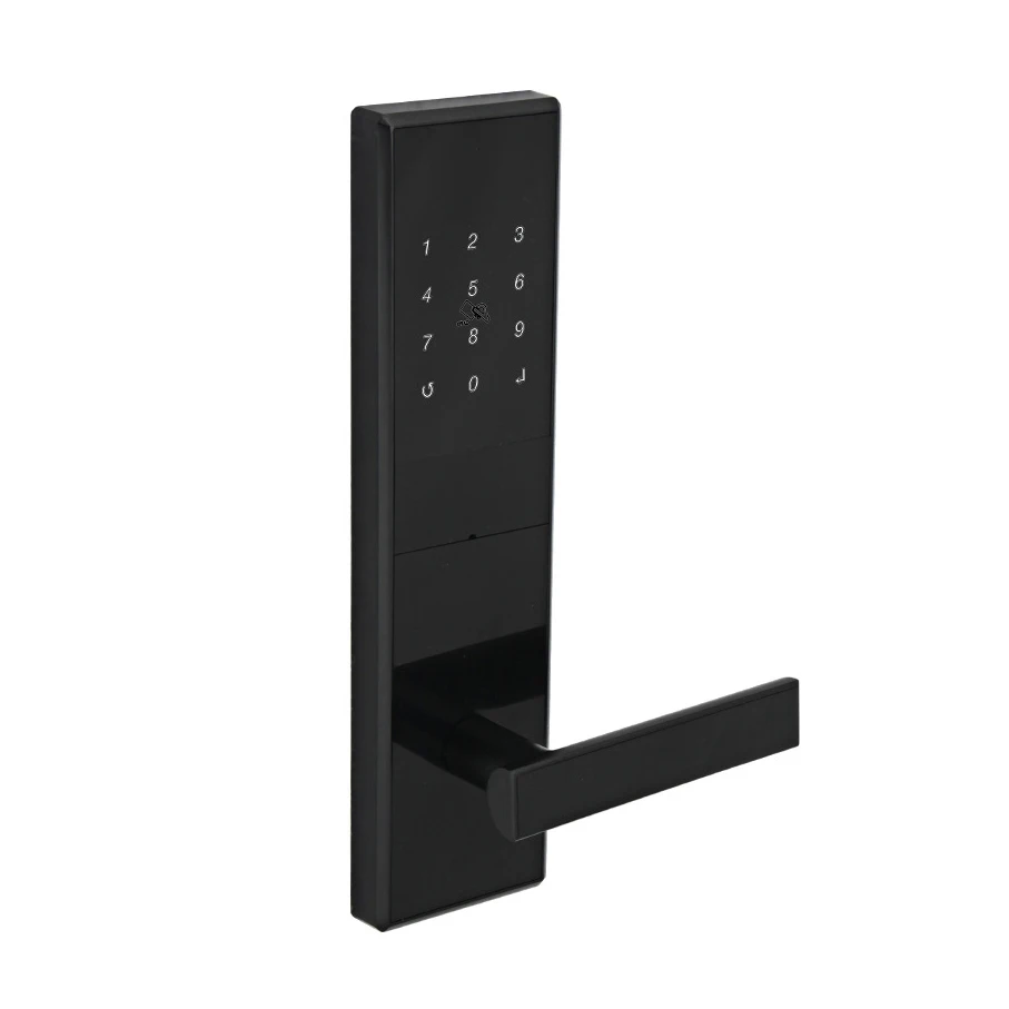 Wifi TTLock приложение электронный дверной замок Bluetooth управление телефоном США