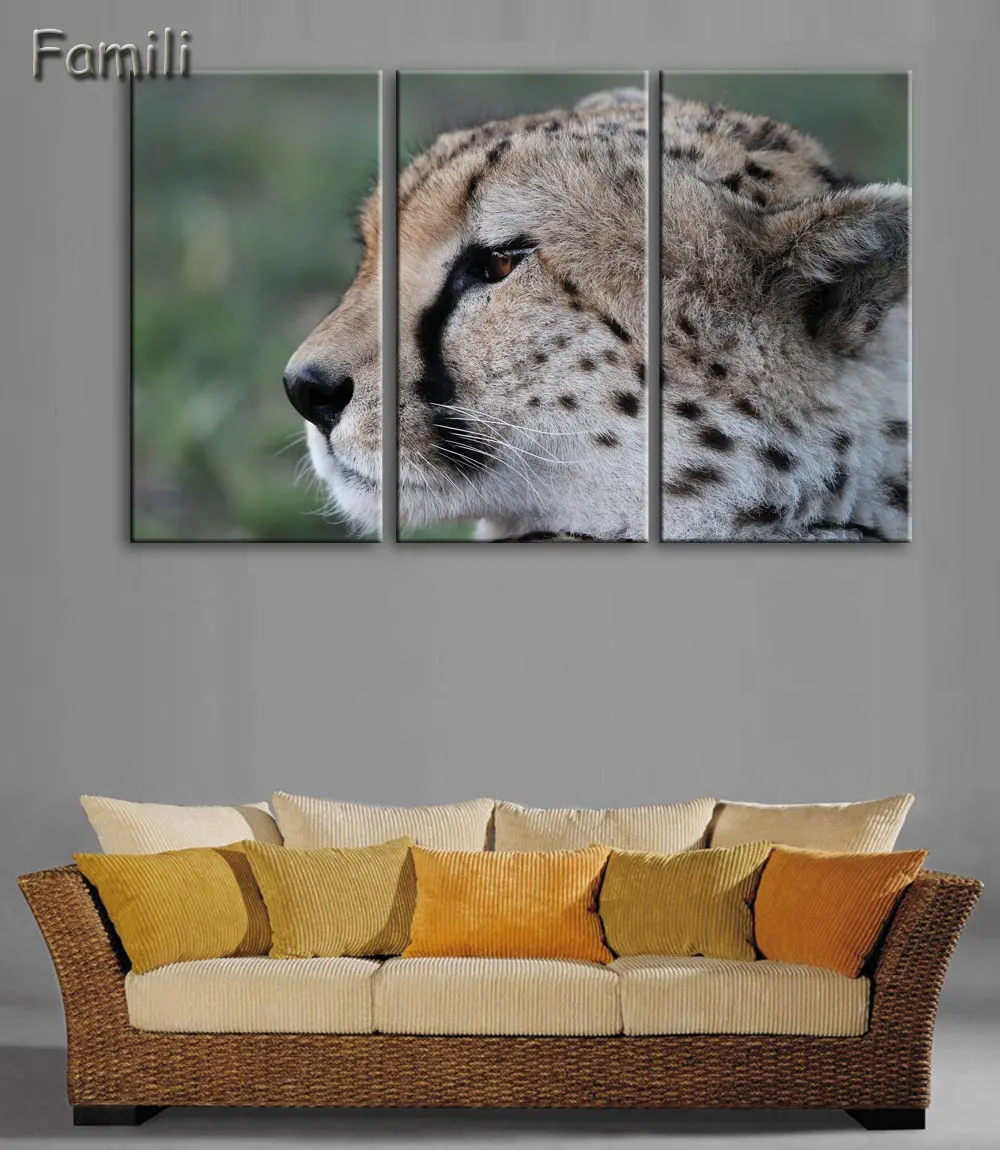 Настенная картина Гепард В дереве 3 шт./компл.|wall pictures|prints paintinghd prints |