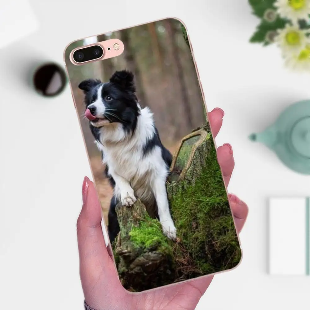 Границы собака колли породы аксессуары для телефона чехол для Huawei P8 P9 P10 P20 P30 Коврики, 7, 8, 9, 10, 20 Lite Plus Pro - Цвет: as picture