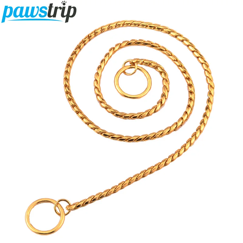 4 размера Золотой Змеиный собачий ошейник с цепью Чихуахуа Йоркширский