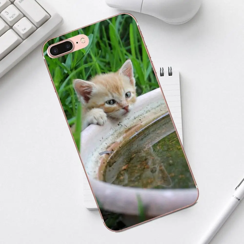 The Cute Mirror Reflection Cat Lovely Luxury For iPhone 4 4S 5 5C SE 6 6S 7 8 Plus X XS Max XR Galaxy A3 A5 J1 J3 J5 J7 2017 | Мобильные
