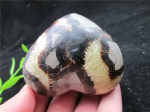 Natural Energy Stone Turtle Ancient Rock Specimen Heart-shaped for collection From