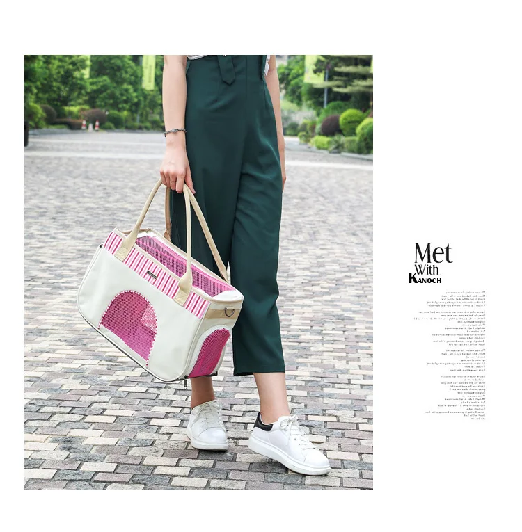 Летняя дышащая Сумка переноска для маленьких домашних животных кошек собак