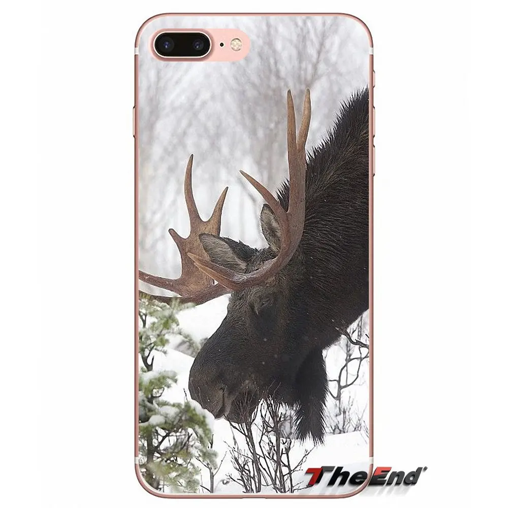 Силиконовый ТПУ чехол для Huawei G7 G8 Ascend P7 P8 P9 Lite Honor 4C 5X 5C 6X Mate 7 8 9 Y3 Y5 Y6 II Pro Animal Alaska Bull