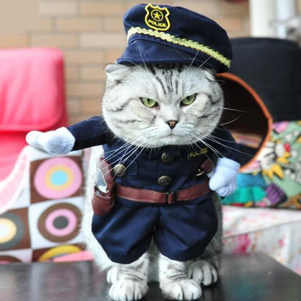 Щенок Супермен одежда костюм Костюмы Косплэй собака с котом наряд Рождество