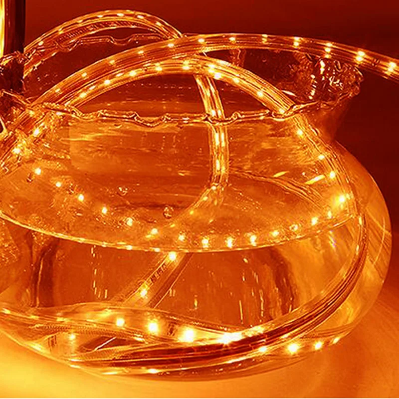 Светодиодная лента высокой яркости 220 В + штепсельная вилка европейского